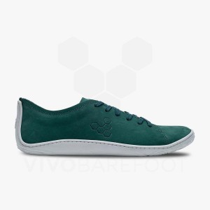 Vivobarefoot Addis Muške Lifestyle Cipele Zelene | HR128OB