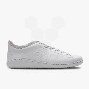Vivobarefoot Geo Court III Muške Lifestyle Cipele Bijele | HR124SZ