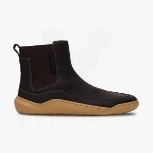 Vivobarefoot Gobi Chelsea Ženske Lifestyle Cipele Crne | HR287LQ