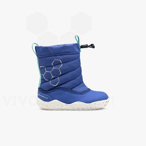 Vivobarefoot Lumi X Arctic Angels Toddlers Dječje Cipele Plave | HR422GY
