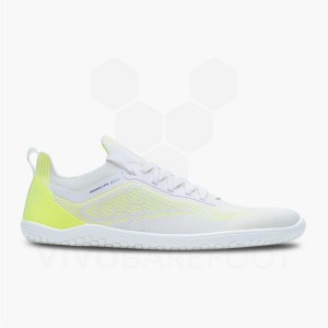 Vivobarefoot Primus Lite Knit Muške Cipele Za Trčanje Na Cesti Žute | HR053LQ