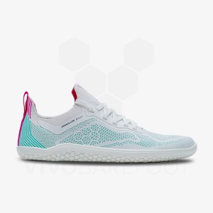 Vivobarefoot Primus Lite Knit Muške Cipele Za Trčanje Na Cesti Plave | HR054KW