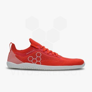 Vivobarefoot Primus Lite Knit Muške Tenisice za Trening Crvene | HR100QC