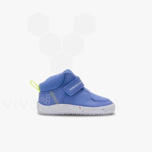 Vivobarefoot Primus Ludo Hi Toddlers Dječje Cipele Plave | HR407VJ