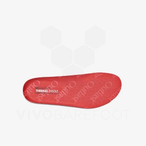 Vivobarefoot Thermal Insole Toddlers Dječje Ulošci Crvene | HR437RX