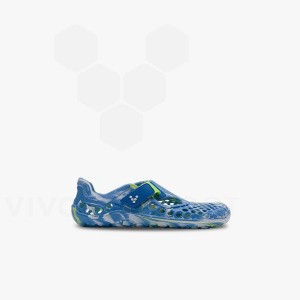Vivobarefoot Ultra Bloom Preschool Dječje Cipele Plave Svijetlo Tirkizne | HR390MM